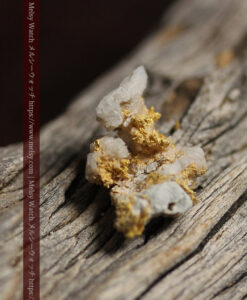 1.58gの粒の大きな石英と微細な金の結合が面白い自然金-G0570-11