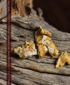 2.32gのビクトリア州Walhalla産の自然金3点-G0571-2