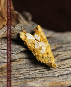 2.32gのビクトリア州Walhalla産の自然金3点-G0571-5