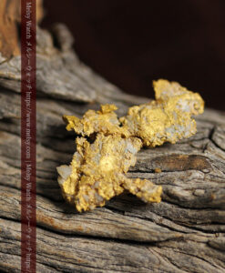 2.76gの金と石英の入り方が面白い薄くて繊細な自然金-G0572-11