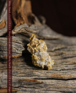 1.48gの豆粒サイズで両面に違いが見える自然金-G0574-12