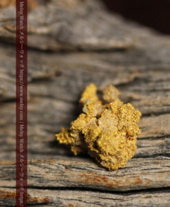 1.13gの細かな砂金のような粒子が見える自然金-G0576-10