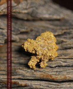 1.13gの細かな砂金のような粒子が見える自然金-G0576-3