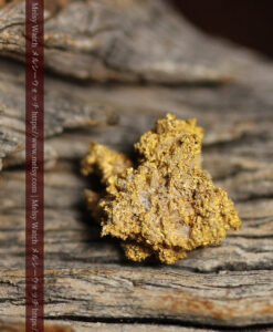 1.13gの細かな砂金のような粒子が見える自然金-G0576-4