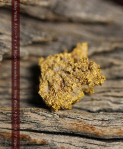 1.13gの細かな砂金のような粒子が見える自然金-G0576-5