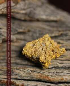 1.13gの細かな砂金のような粒子が見える自然金-G0576-6