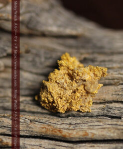 1.13gの細かな砂金のような粒子が見える自然金-G0576-7