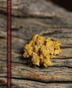 1.13gの細かな砂金のような粒子が見える自然金-G0576-8