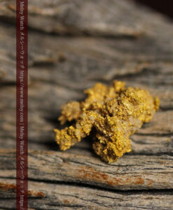 1.13gの細かな砂金のような粒子が見える自然金-G0576-9