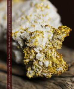 16.7gの金と石英の交じり合った美しい姿の特別な大粒自然金-G0577-10