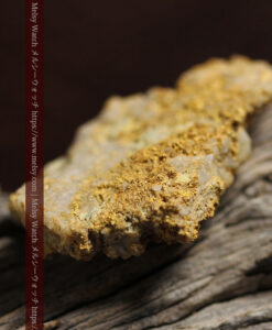 22.9gの特殊なビクトリア州Walhalla産の石英と自然金-G0578-7