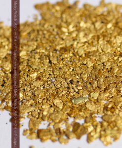 2.29gの小さな砂金・薄片金 ビクトリア州Mitta Mitta産-G0579-2