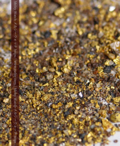 4.53gの採掘家の集めた小さな粗選別の砂金・自然金-G0580-6