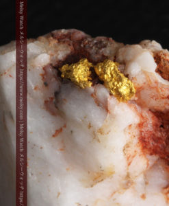 8.77gの色変わりの綺麗な石英の頂に見える小さな自然金-G0240-15