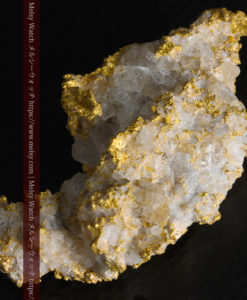 33.53gの雪化粧のような石英の結晶に覆われた美しい自然金-G0244-11