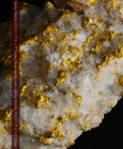 33.53gの雪化粧のような石英の結晶に覆われた美しい自然金-G0244-16