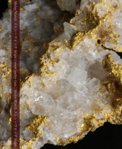 33.53gの雪化粧のような石英の結晶に覆われた美しい自然金-G0244-17