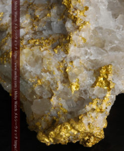 33.53gの雪化粧のような石英の結晶に覆われた美しい自然金-G0244-18