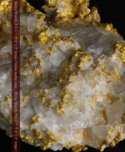 33.53gの雪化粧のような石英の結晶に覆われた美しい自然金-G0244-19