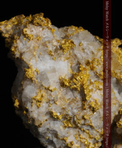 33.53gの雪化粧のような石英の結晶に覆われた美しい自然金-G0244-20