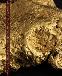 300g超えの博物館級の超大型自然金-g0250-31
