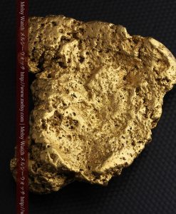 300g超えの博物館級の超大型自然金-g0250-9