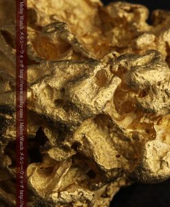 231gの天然のジュエリーのように光り輝く超大型自然金-g0251-31