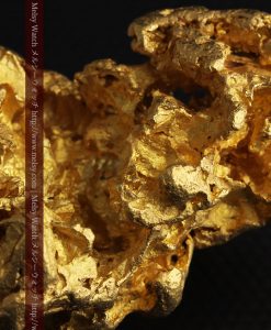 231gの天然のジュエリーのように光り輝く超大型自然金-g0251-34