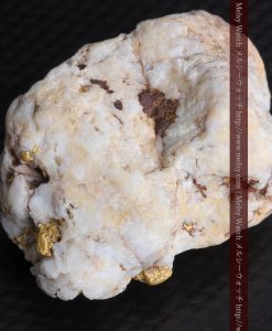 15.65gの大粒の金が見える大きなサイズの金鉱石-g0294-17