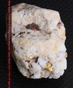 15.65gの大粒の金が見える大きなサイズの金鉱石-g0294-19