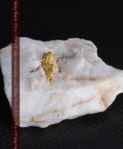 16.91gの大きな石英の中央に鎮座する自然金-g0298-10