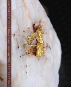 16.91gの大きな石英の中央に鎮座する自然金-g0298-2