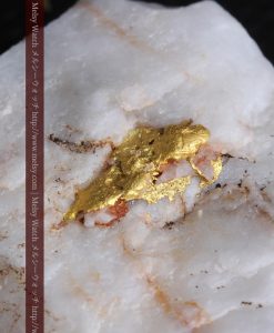 16.91gの大きな石英の中央に鎮座する自然金-g0298-3