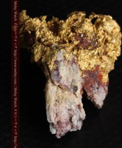 10.89gの見どころ満載・化石のような自然金-g0299-11