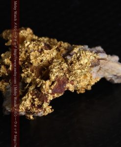 10.89gの見どころ満載・化石のような自然金-g0299-12