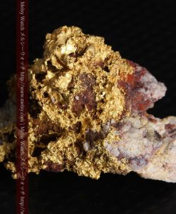 10.89gの見どころ満載・化石のような自然金-g0299-13