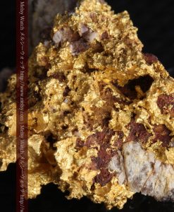 10.89gの見どころ満載・化石のような自然金-g0299-14