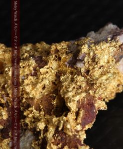 10.89gの見どころ満載・化石のような自然金-g0299-16