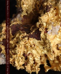 10.89gの見どころ満載・化石のような自然金-g0299-18