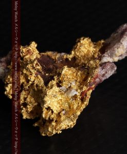 10.89gの見どころ満載・化石のような自然金-g0299-5