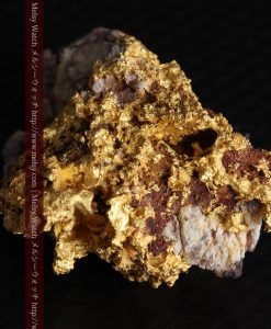 10.89gの見どころ満載・化石のような自然金-g0299-9