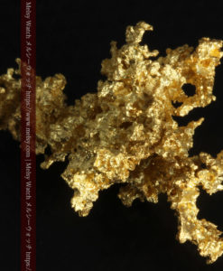 3.52gの翼を広げた竜のような姿の自然金-G0302-13