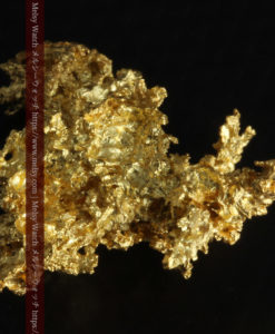 3.52gの翼を広げた竜のような姿の自然金-G0302-9