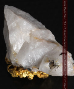 7.51gの綺麗な色の石英と大粒の自然金-G0305-10