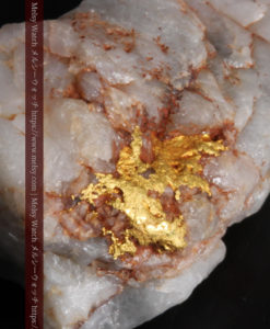 5.34gの石英の中に見える大きな粒と小さな粒の自然金-G0306-1