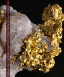 10.77gの小さな粒状の石英と凹凸に富んだ美しい姿の自然金-G0307-5