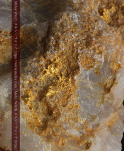 72gの巨大な石英に存在する自然なままの姿の自然金-G0308-2