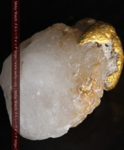 1.37gのキノコのような形の自然金と石英-G0316-11