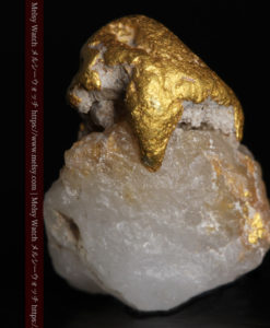 1.37gのキノコのような形の自然金と石英-G0316-4