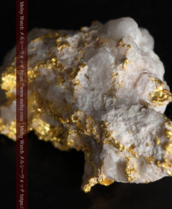 3.96gの雪の結晶のような石英に包まれた自然金-G0318-8